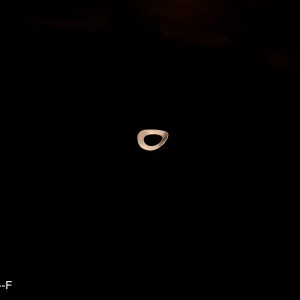 WASHER, SPRING (MINIMUM PACKAGE QTY 10)